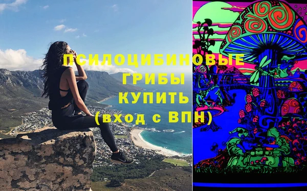 гидропоника Арсеньев