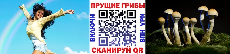 продажа наркотиков  Сасово  Псилоцибиновые грибы GOLDEN TEACHER 
